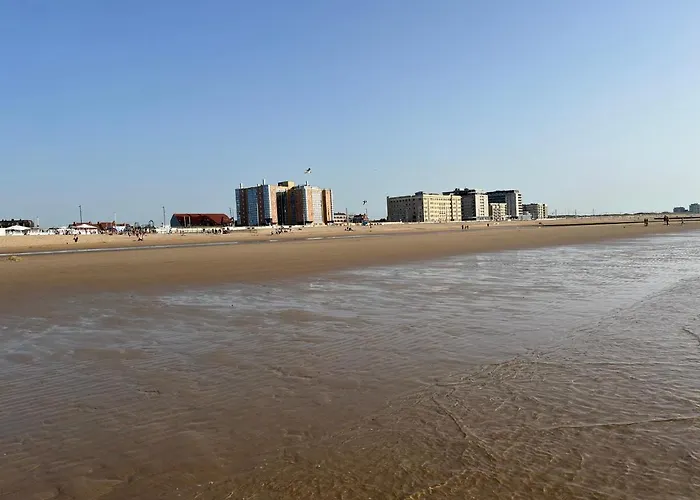Frontaal Zeezicht In Appartement De Strandjutter