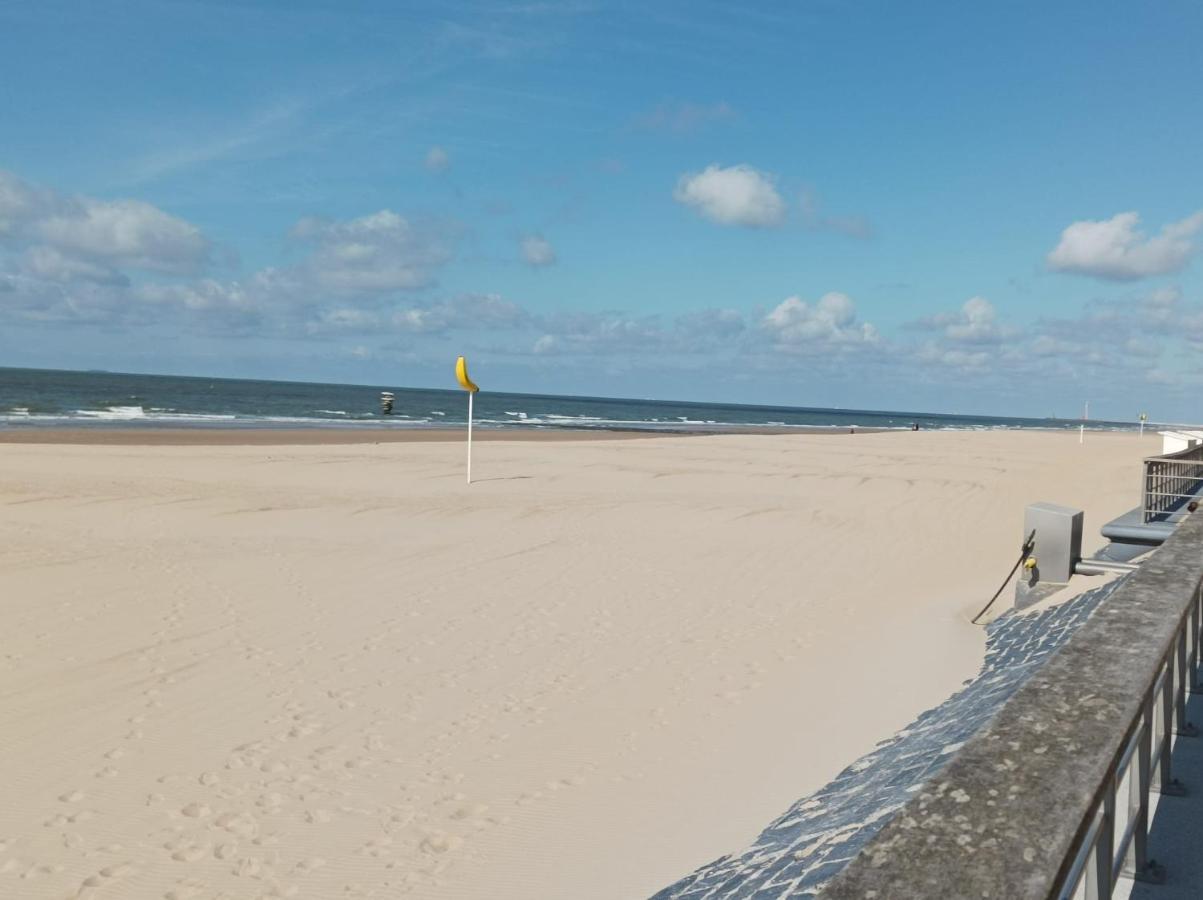 Apartment Frontaal Zeezicht In De Strandjutter *