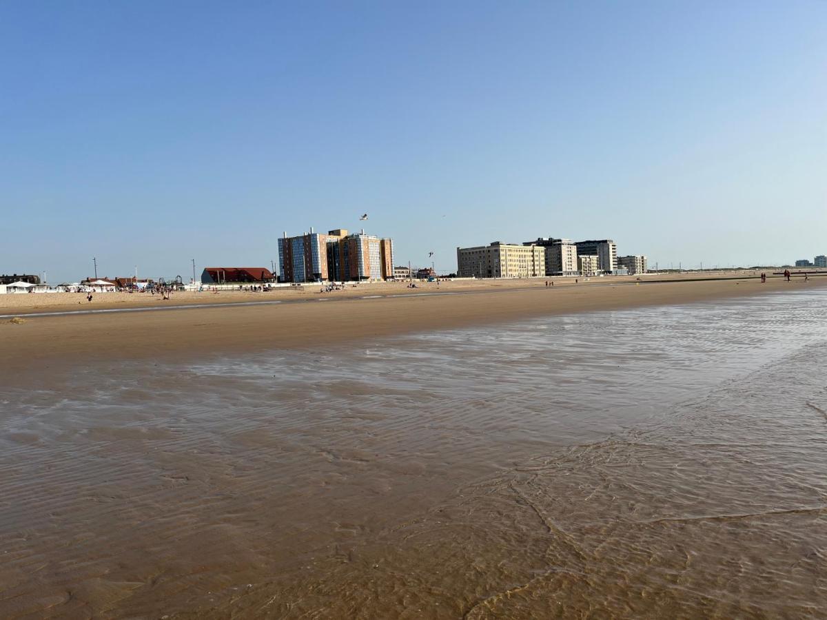 Apartment Frontaal Zeezicht In De Strandjutter *